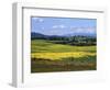 Wide Open Rolling Landscape, High Country, Australia-Richard Nebesky-Framed Photographic Print