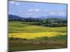 Wide Open Rolling Landscape, High Country, Australia-Richard Nebesky-Mounted Photographic Print