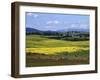 Wide Open Rolling Landscape, High Country, Australia-Richard Nebesky-Framed Photographic Print