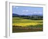 Wide Open Rolling Landscape, High Country, Australia-Richard Nebesky-Framed Photographic Print