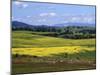 Wide Open Rolling Landscape, High Country, Australia-Richard Nebesky-Mounted Photographic Print