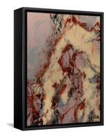 Wide Variety of Poses-Barbara Bilotta-Framed Stretched Canvas