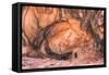 Wide View at Fallen Roof Ruins, Anasazi, Southern Utah-Vincent James-Framed Stretched Canvas