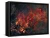 Widefield View of He Crescent Nebula-Stocktrek Images-Framed Stretched Canvas