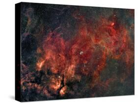 Widefield View of He Crescent Nebula-Stocktrek Images-Stretched Canvas