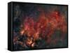 Widefield View of He Crescent Nebula-Stocktrek Images-Framed Stretched Canvas