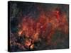 Widefield View of He Crescent Nebula-Stocktrek Images-Stretched Canvas