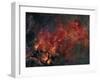 Widefield View of He Crescent Nebula-Stocktrek Images-Framed Photographic Print