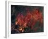 Widefield View of He Crescent Nebula-Stocktrek Images-Framed Photographic Print