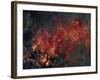 Widefield View of He Crescent Nebula-Stocktrek Images-Framed Photographic Print