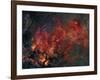 Widefield View of He Crescent Nebula-Stocktrek Images-Framed Photographic Print