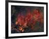 Widefield View of He Crescent Nebula-Stocktrek Images-Framed Photographic Print