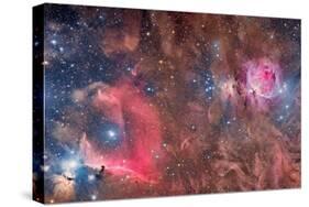Widefield View of Orion Nebula and Horsehead Nebula-null-Stretched Canvas