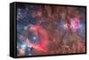 Widefield View of Orion Nebula and Horsehead Nebula-null-Framed Stretched Canvas