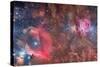 Widefield View of Orion Nebula and Horsehead Nebula-null-Stretched Canvas