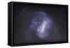 Widefield View of the Large Magellanic Cloud-null-Framed Stretched Canvas