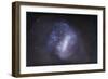 Widefield View of the Large Magellanic Cloud-null-Framed Photographic Print