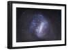 Widefield View of the Large Magellanic Cloud-null-Framed Photographic Print