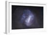 Widefield View of the Large Magellanic Cloud-null-Framed Photographic Print