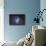 Widefield View of the Large Magellanic Cloud-null-Photographic Print displayed on a wall