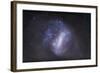 Widefield View of the Large Magellanic Cloud-null-Framed Photographic Print