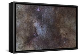 Widefield View of the Sagittarius Star Cloud-null-Framed Stretched Canvas