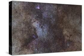 Widefield View of the Sagittarius Star Cloud-null-Stretched Canvas