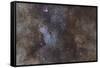 Widefield View of the Sagittarius Star Cloud-null-Framed Stretched Canvas