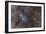 Widefield View of the Sagittarius Star Cloud-null-Framed Photographic Print