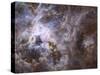 Widefield View of the Tarantula Nebula-null-Stretched Canvas