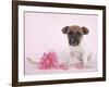 Widget-Rachael Hale-Framed Photographic Print