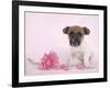 Widget-Rachael Hale-Framed Photographic Print