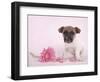 Widget-Rachael Hale-Framed Photographic Print