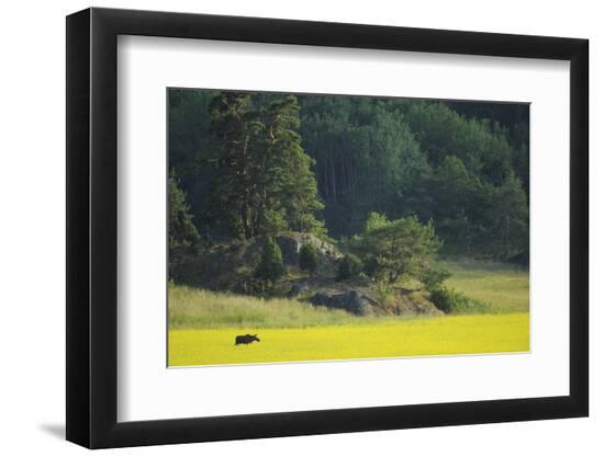 Premium Photographic Print, , large