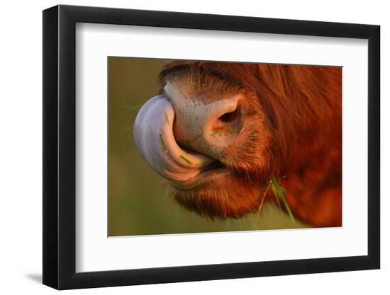 Premium Photographic Print, , large