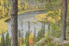 Kitkajoki River, Oulanka National Park, Finland, September 2008-Widstrand-Photographic Print