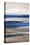 Width the Tide Out-Tim O'toole-Stretched Canvas