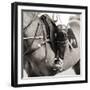 Wield-Joseph Eta-Framed Giclee Print