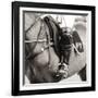 Wield-Joseph Eta-Framed Giclee Print