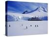 Wiencke Island, Port Lockroy, Gentoo Penguins on Sea-Ice with Cruise Ship Beyond, Antarctica-Allan White-Stretched Canvas