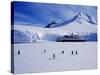 Wiencke Island, Port Lockroy, Gentoo Penguins on Sea-Ice with Cruise Ship Beyond, Antarctica-Allan White-Stretched Canvas