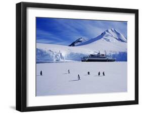 Wiencke Island, Port Lockroy, Gentoo Penguins on Sea-Ice with Cruise Ship Beyond, Antarctica-Allan White-Framed Photographic Print