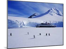 Wiencke Island, Port Lockroy, Gentoo Penguins on Sea-Ice with Cruise Ship Beyond, Antarctica-Allan White-Mounted Photographic Print