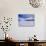 Wiencke Island, Port Lockroy, Gentoo Penguins on Sea-Ice with Cruise Ship Beyond, Antarctica-Allan White-Photographic Print displayed on a wall