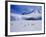 Wiencke Island, Port Lockroy, Gentoo Penguins on Sea-Ice with Cruise Ship Beyond, Antarctica-Allan White-Framed Photographic Print