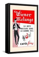 Wiener Melange-null-Framed Stretched Canvas