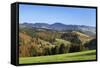 Wiesental Valley, Black Forest, Baden Wurttemberg, Germany, Europe-Markus-Framed Stretched Canvas