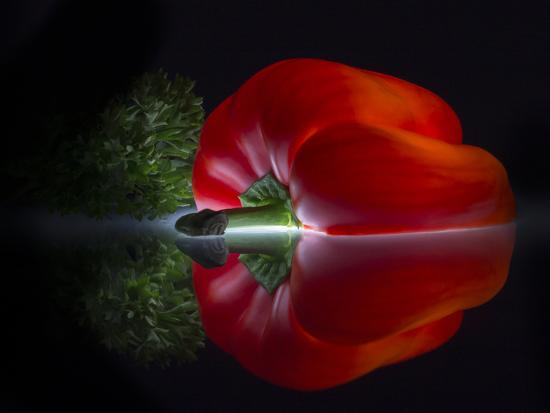 Premium Photographic Print, , large