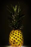 Pineapple-Wieteke de Kogel-Photographic Print