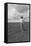 Wife of Texas Tenant Farmer.-Dorothea Lange-Framed Stretched Canvas